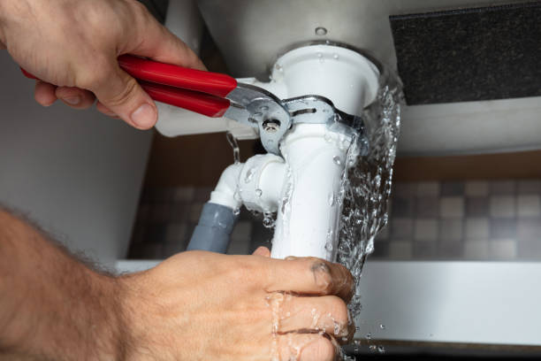 Best Professional water damage repair  in Union, KY