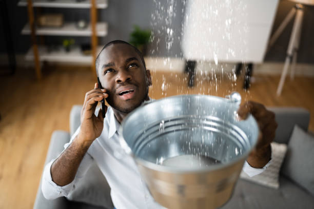 Best Flood damage cleanup  in Union, KY