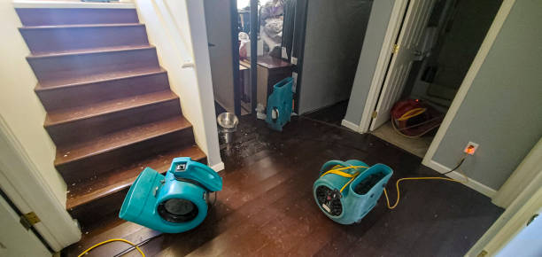 Carpet water damage restoration in KY