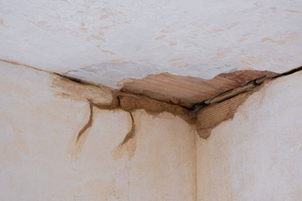 Best Basement water damage restoration  in Union, KY