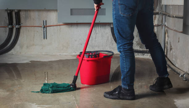 Best Ceiling water damage repair  in Union, KY