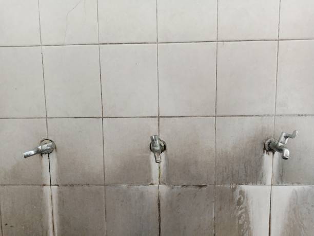 Best Carpet water damage restoration  in Union, KY