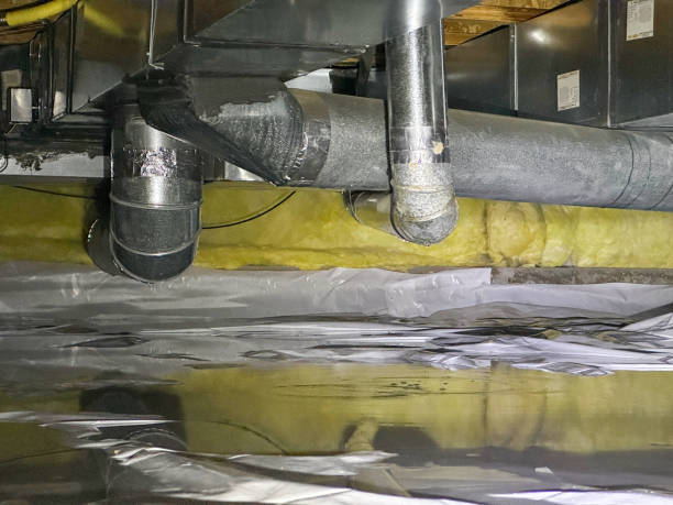 Best Water damage contractors near me  in Union, KY