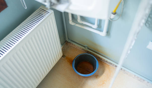 Best Sewage cleanup and water damage restoration  in Union, KY