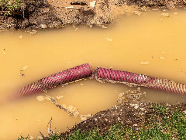 Best 24-hour water damage restoration  in Union, KY