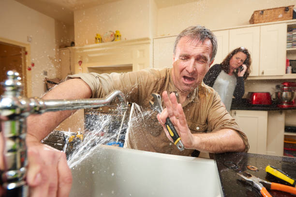Best Carpet water damage restoration  in Union, KY